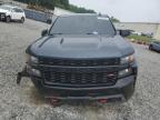 Gainesville, GA에서 판매 중인 2019 Chevrolet Silverado K1500 Trail Boss Custom - All Over