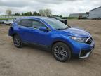 2020 Honda Cr-V Ex იყიდება Portland-ში, MI - Rear End