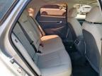 2020 Hyundai Sonata Limited იყიდება Anthony-ში, TX - Rear End