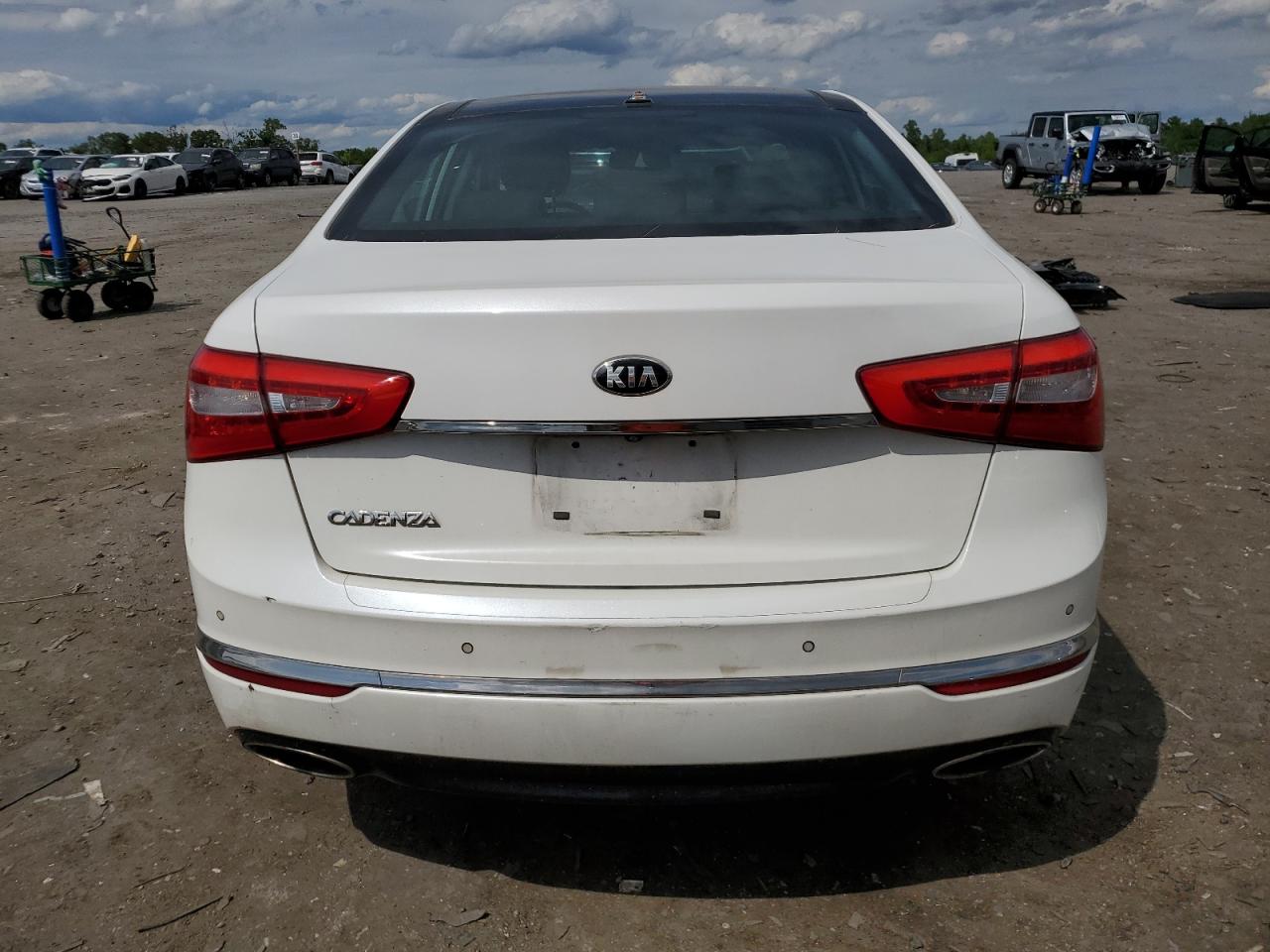 2014 Kia Cadenza Premium VIN: KNALN4D75E5166891 Lot: 55971055