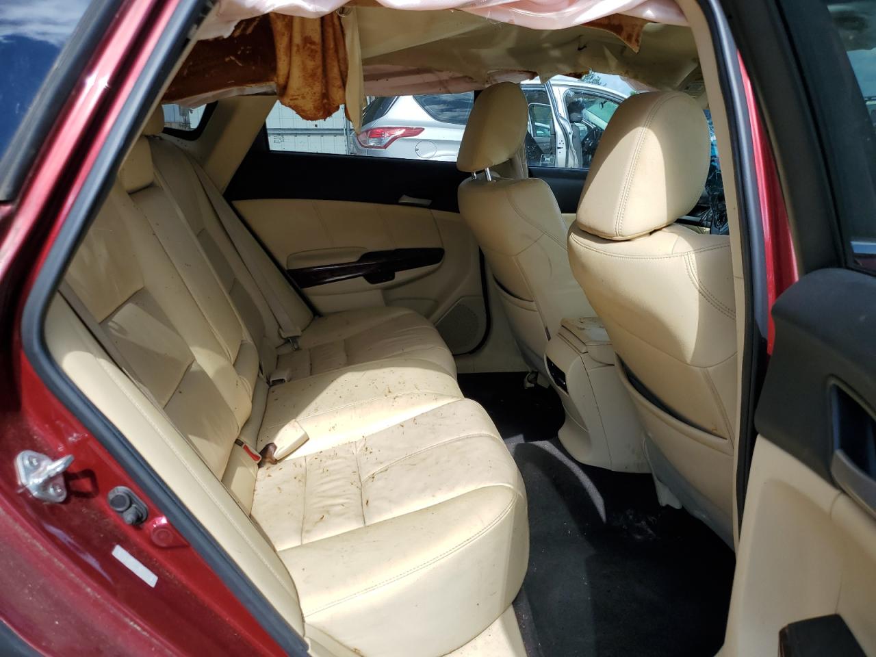 2010 Honda Accord Crosstour Exl VIN: 5J6TF1H51AL011455 Lot: 55459135