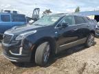 2024 Cadillac Xt5 Premium Luxury   na sprzedaż w Woodhaven, MI - Rollover