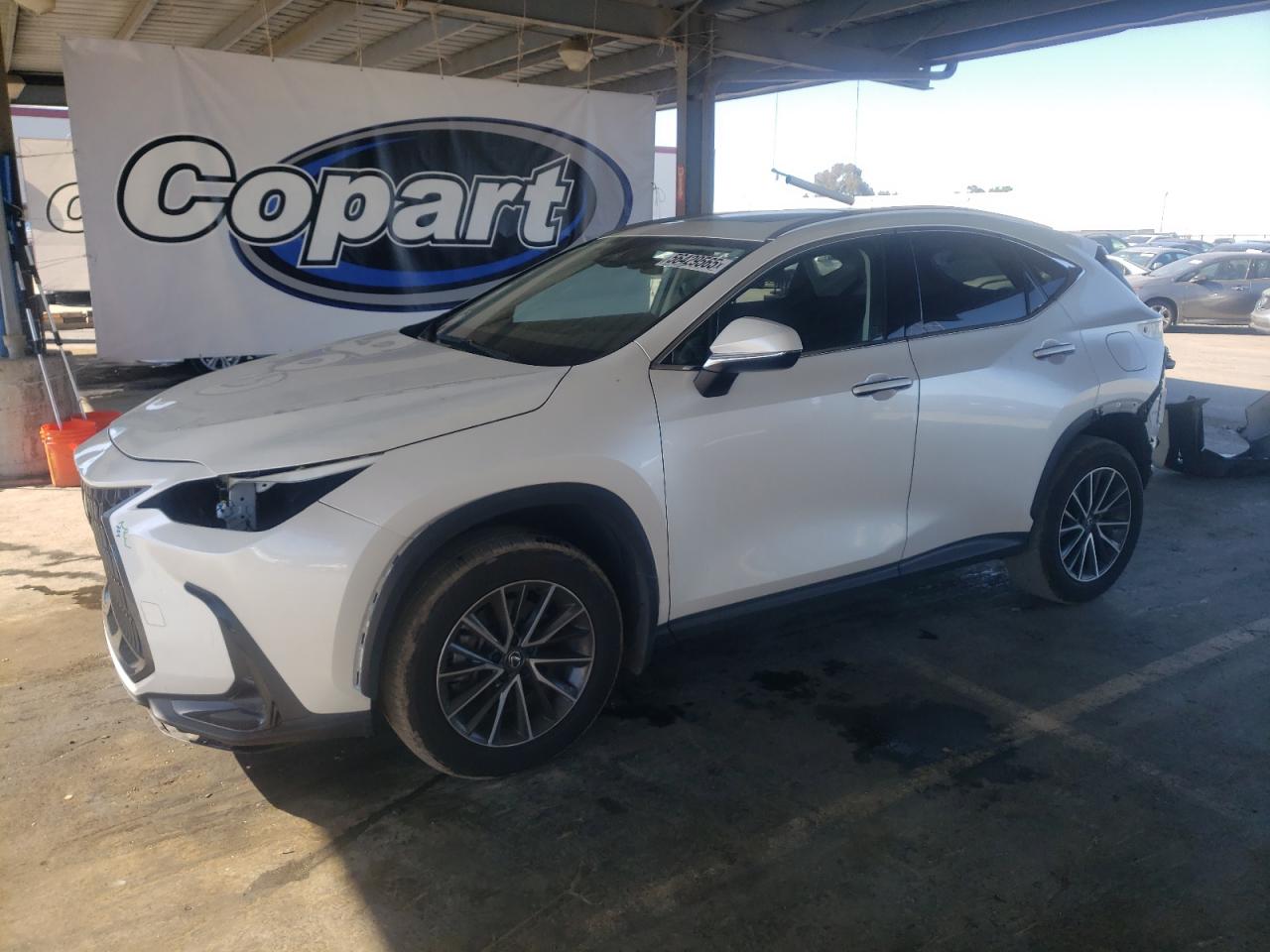 2024 Lexus Nx 350H Base на продаже в Hayward, CA - Rear End