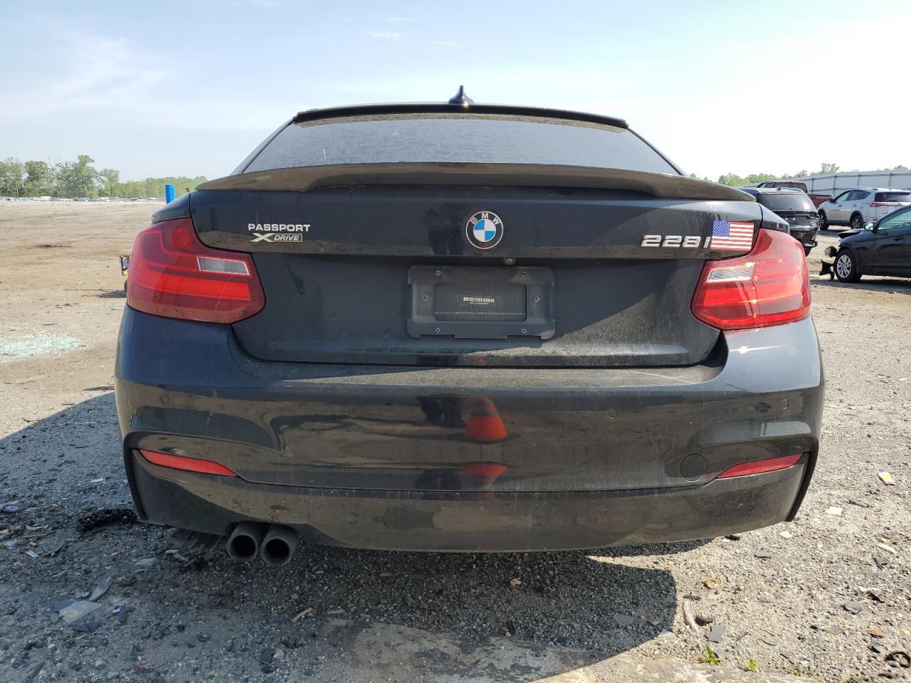 2016 BMW 228 Xi Sulev VIN: WBA1G9C52GV599893 Lot: 54840775