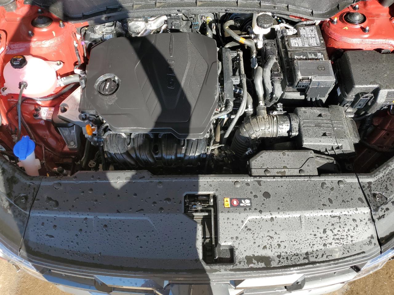 2025 Hyundai Tucson Sel VIN: 5NMJBCDE8SH493323 Lot: 55538935