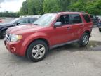 2012 Ford Escape Xlt zu verkaufen in Glassboro, NJ - Rear End
