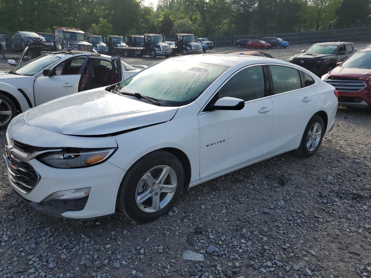 2024 Chevrolet Malibu Ls იყიდება Madisonville-ში, TN - Front End