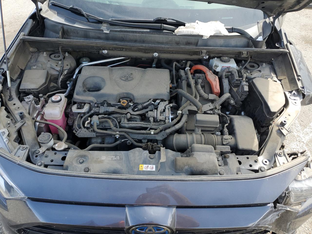 2021 Toyota Rav4 Xle VIN: 2T3RWRFV3MW115805 Lot: 56028125