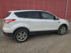 London, ON에서 판매 중인 2013 Ford Escape Sel - Mechanical