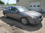 2009 Honda Accord Ex zu verkaufen in Center Rutland, VT - Front End