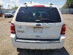 2012 Ford Escape Xlt for Sale in Mercedes, TX - Front End