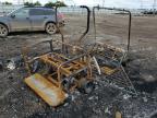 2013 'Other Rv' Golf Cart en Venta en Elgin, IL - Burn