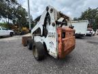 Riverview, FL에서 판매 중인 2010 Bobcat S300 - Minor Dent/Scratches