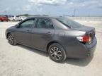 2009 Toyota Corolla Base na sprzedaż w Jacksonville, FL - Minor Dent/Scratches