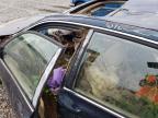1997 Honda Accord Ex for Sale in Spartanburg, SC - Water/Flood
