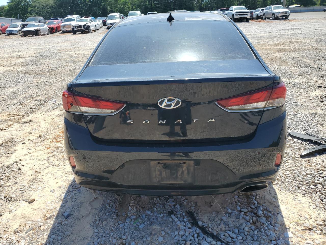 2019 Hyundai Sonata Limited VIN: 5NPE34AF3KH770738 Lot: 56597235