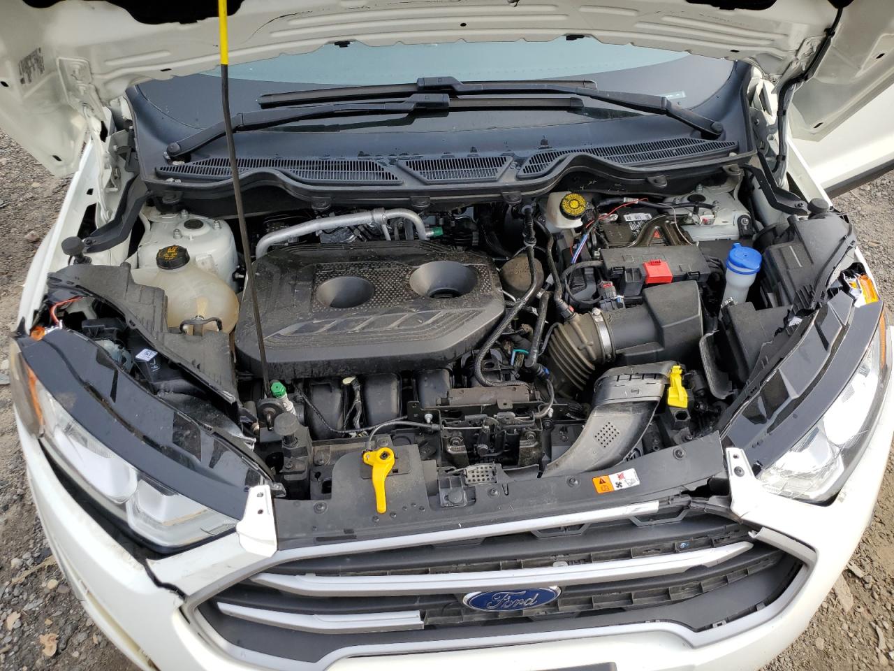 2019 Ford Ecosport Se VIN: MAJ6S3GL6KC285560 Lot: 56725455