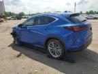 2024 Lexus Nx 350H Base for Sale in Fredericksburg, VA - Front End