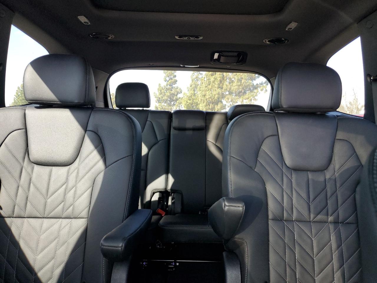 2024 Kia Telluride Sx VIN: 5XYP5DGC5RG517485 Lot: 56673085