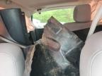 Glassboro, NJ에서 판매 중인 2014 Subaru Forester 2.5I Premium - Front End