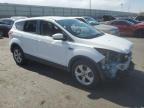 2014 Ford Escape Se for Sale in Albuquerque, NM - Front End