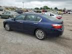 2013 Honda Accord Exl zu verkaufen in Indianapolis, IN - Side