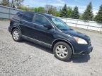 2009 Honda Cr-V Exl იყიდება Albany-ში, NY - Minor Dent/Scratches