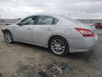 2011 Nissan Maxima S იყიდება Jacksonville-ში, FL - Front End