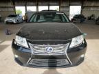 2013 Lexus Es 300H იყიდება Phoenix-ში, AZ - Rear End