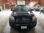 2011 Kia Soul + zu verkaufen in Ebensburg, PA - Side