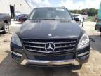 2013 Mercedes-Benz Ml 350 for Sale in Jacksonville, FL - Rear End