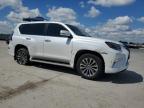2023 Lexus Gx 460 Luxury for Sale in Wilmer, TX - All Over