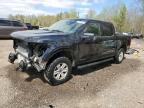 2024 FORD F150 XLT   for sale at Copart ON - COOKSTOWN