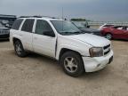 2008 Chevrolet Trailblazer Ls за продажба в Mcfarland, WI - Hail