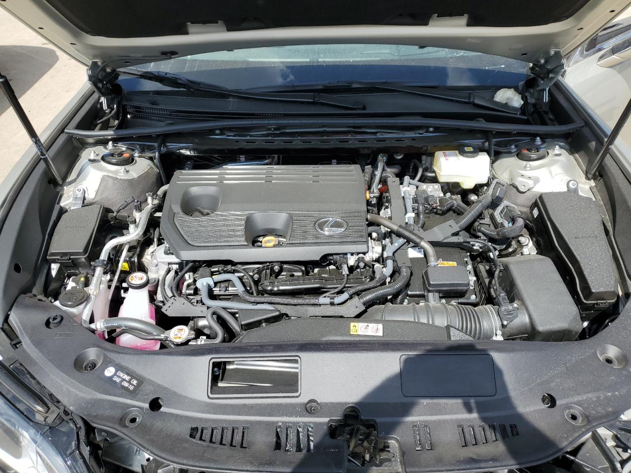 2025 Lexus Es 300H Base VIN: 58AFA1C19SU062448 Lot: 55928115
