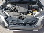 2023 Subaru Forester Wilderness იყიდება Anthony-ში, TX - Side