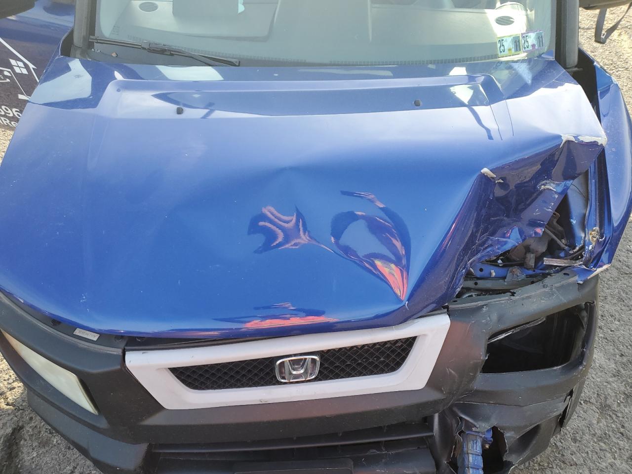 2004 Honda Element Lx VIN: 5J6YH28354L020278 Lot: 56535265