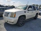 Riverview, FL에서 판매 중인 2009 Cadillac Escalade Luxury - Water/Flood