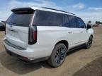 2024 CADILLAC ESCALADE SPORT PLATINUM   for sale at Copart AB - CALGARY