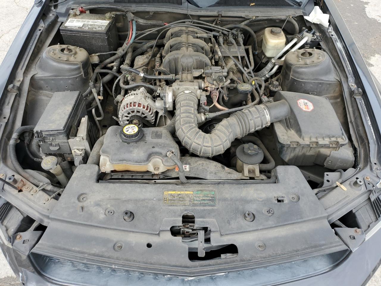 2007 Ford Mustang VIN: 1ZVFT80N175257982 Lot: 58766255