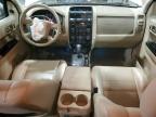 2011 Ford Escape Limited იყიდება Ham Lake-ში, MN - Front End