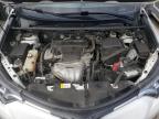 Lawrenceburg, KY에서 판매 중인 2017 Toyota Rav4 Xle - Front End
