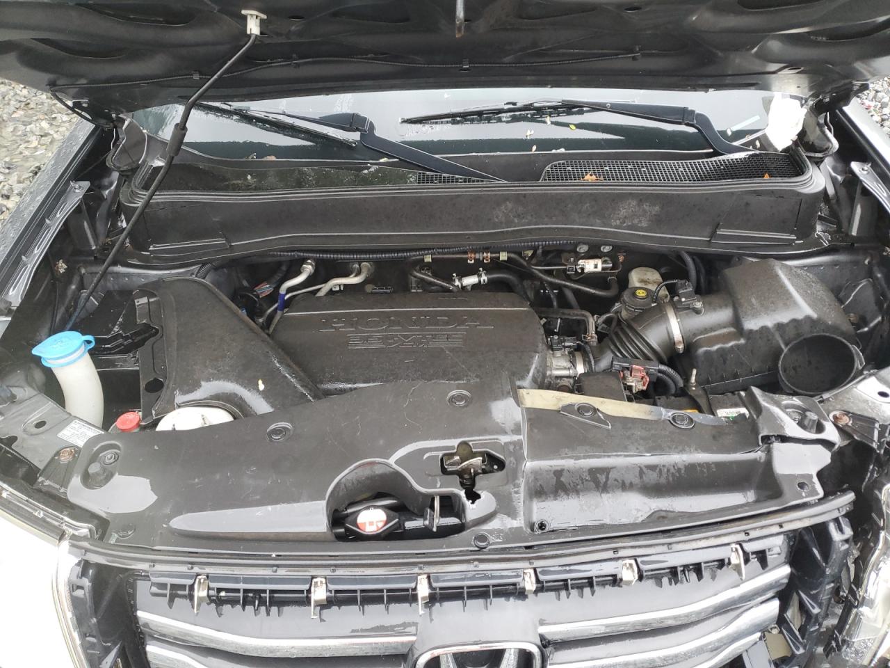 2013 Honda Pilot Exl VIN: 5FNYF4H69DB056317 Lot: 80092495