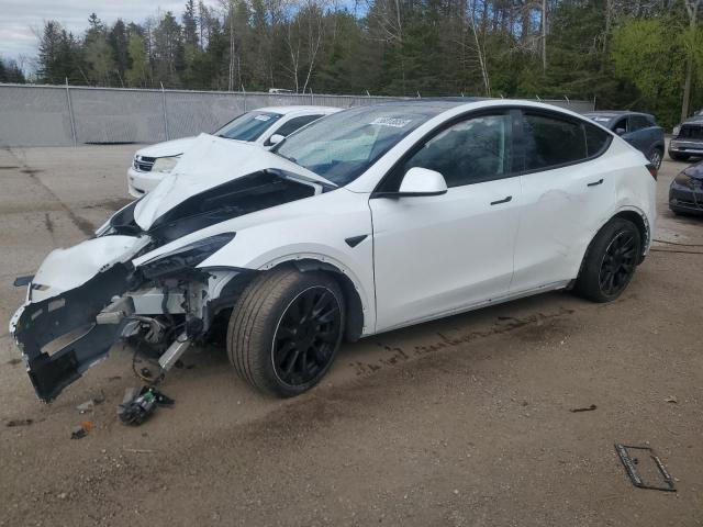 2022 TESLA MODEL Y    for sale at Copart ON - COOKSTOWN