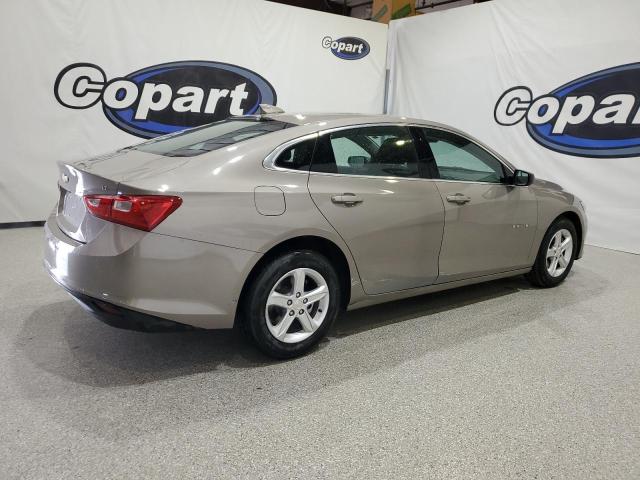  CHEVROLET MALIBU 2023 Gold