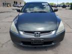 2004 Honda Accord Ex იყიდება Littleton-ში, CO - Hail