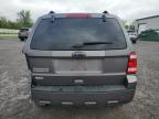 2011 Ford Escape Xlt за продажба в Leroy, NY - Rear End