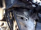2001 Honda Gl1800  на продаже в Apopka, FL - Side