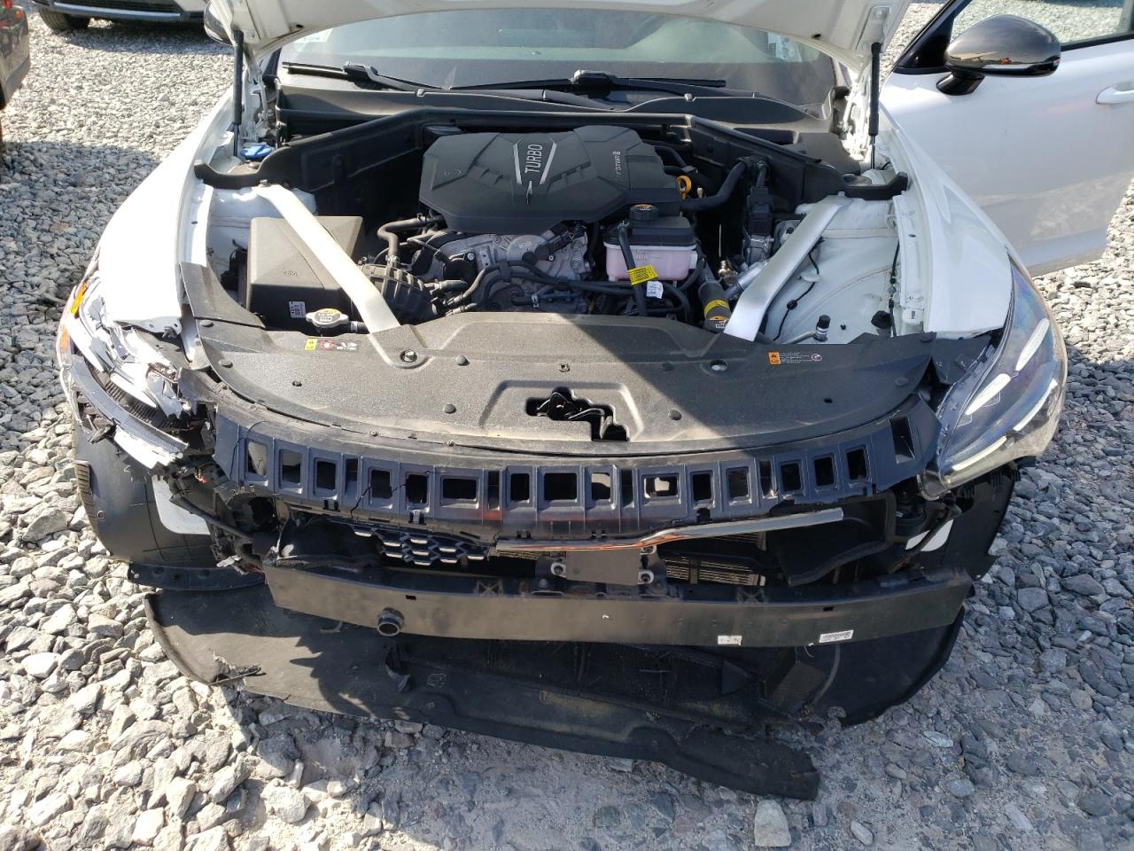2022 Kia Stinger Gt Line VIN: KNAE35LD8N6116718 Lot: 56579395