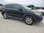 2014 Honda Cr-V Exl продається в Jacksonville, FL - Minor Dent/Scratches